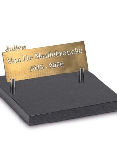 puv14_brons_1